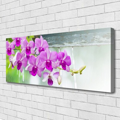 Quadro em tela Orquídeas Gotas Natureza