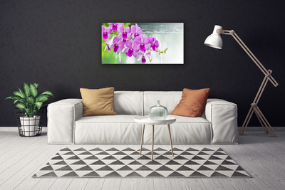Quadro em tela Orquídeas Gotas Natureza