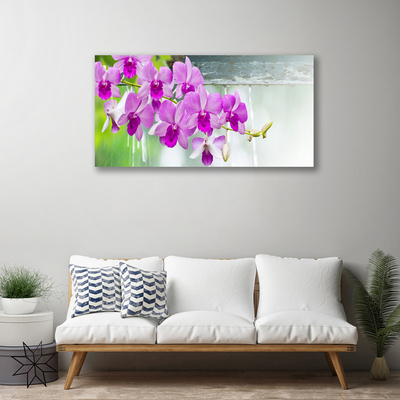 Quadro em tela Orquídeas Gotas Natureza