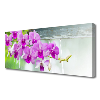 Quadro em tela Orquídeas Gotas Natureza