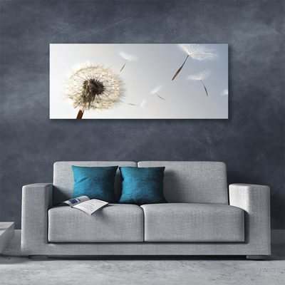 Quadro canvas Flores de dente-de-leão Natureza