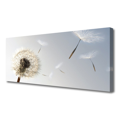 Quadro canvas Flores de dente-de-leão Natureza