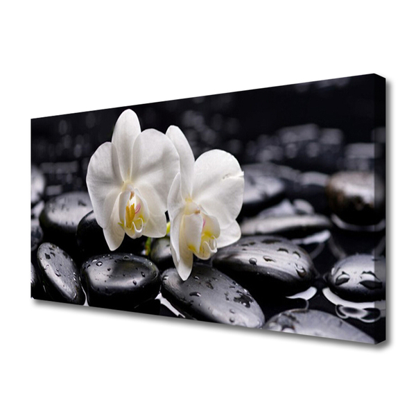 Quadro em tela Spa Zen White Orchid