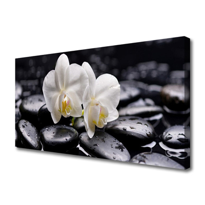 Quadro em tela Spa Zen White Orchid