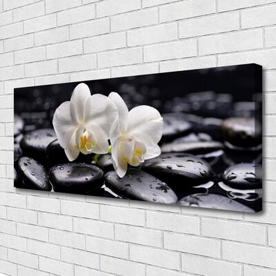 Quadro em tela Spa Zen White Orchid