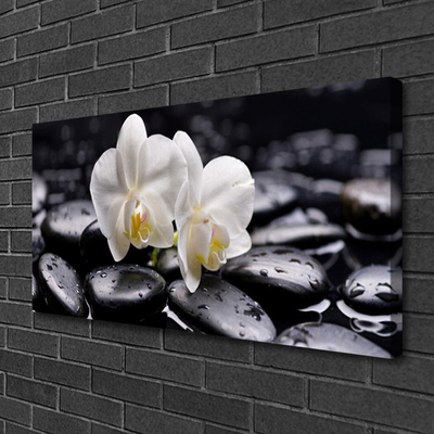 Quadro em tela Spa Zen White Orchid