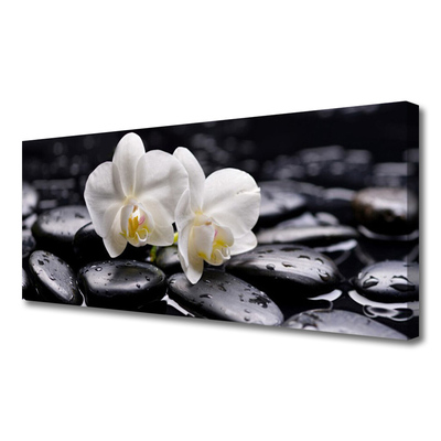 Quadro em tela Spa Zen White Orchid
