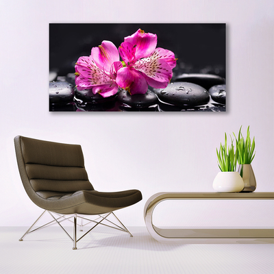 Quadro canvas Flores Pedras Zen Spa