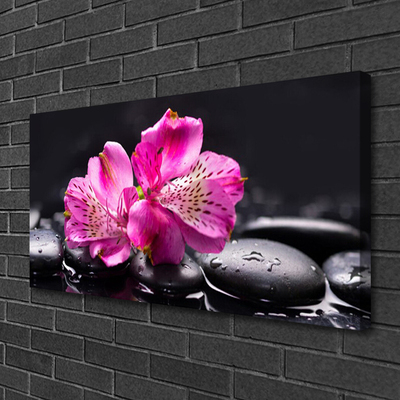 Quadro canvas Flores Pedras Zen Spa