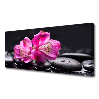 Quadro canvas Flores Pedras Zen Spa