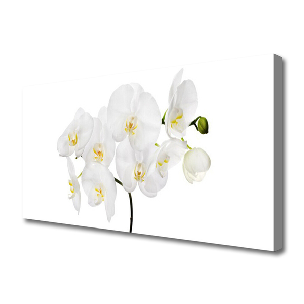 Quadro em tela Flores de orquídea branca