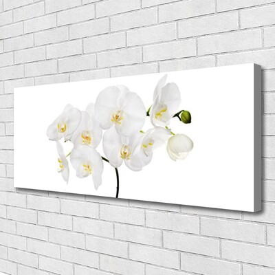 Quadro em tela Flores de orquídea branca