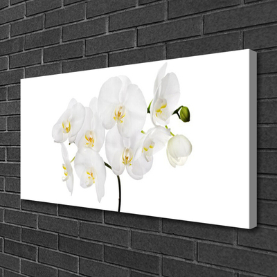 Quadro em tela Flores de orquídea branca