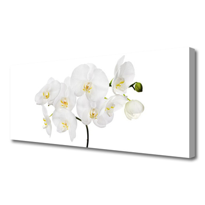Quadro em tela Flores de orquídea branca