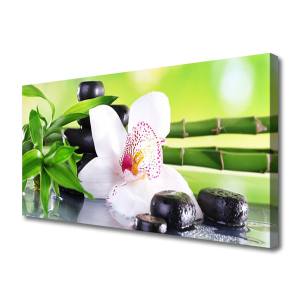 Quadro canvas Folhas de bambu de orquídea