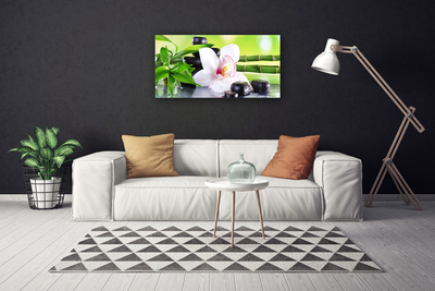 Quadro canvas Folhas de bambu de orquídea