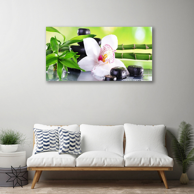Quadro canvas Folhas de bambu de orquídea