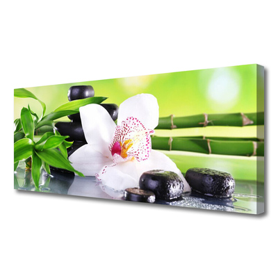 Quadro canvas Folhas de bambu de orquídea