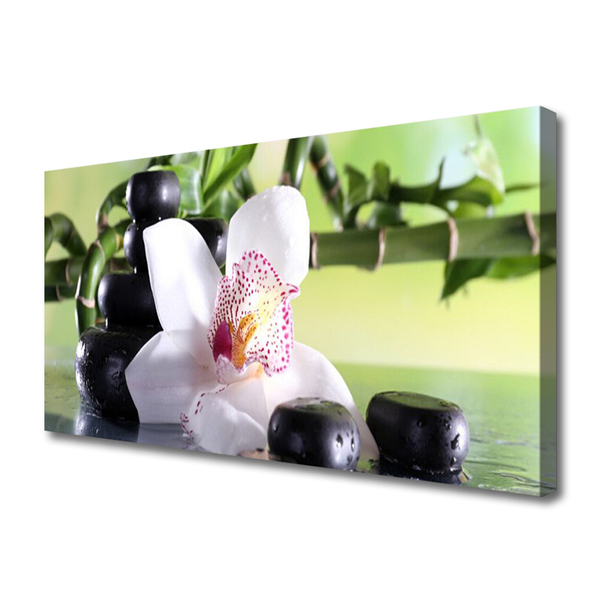 Quadro canvas Pedras de orquídea Bambu