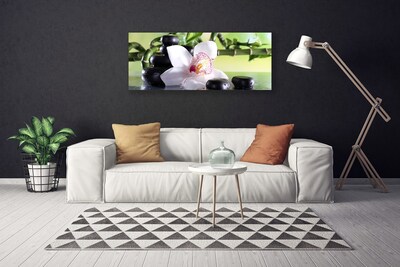 Quadro canvas Pedras de orquídea Bambu