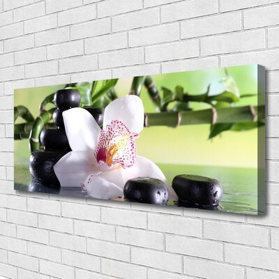 Quadro canvas Pedras de orquídea Bambu