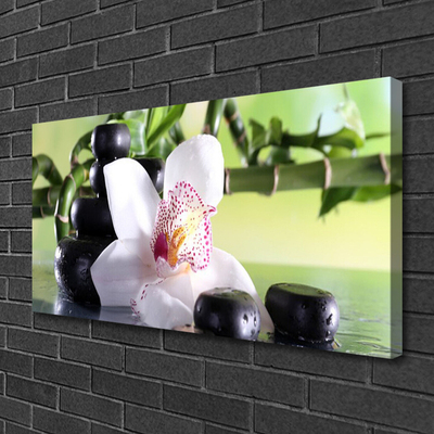 Quadro canvas Pedras de orquídea Bambu