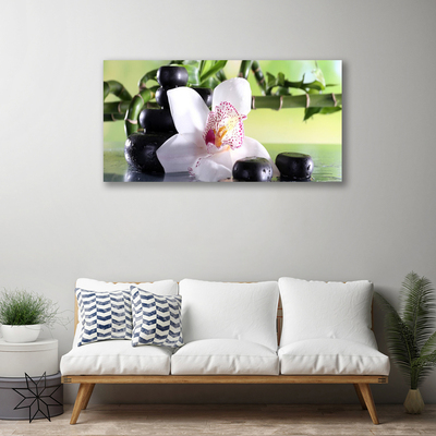 Quadro canvas Pedras de orquídea Bambu