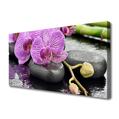Quadro em tela Orquídea Zen Orquídea Spa