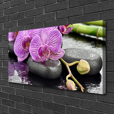 Quadro em tela Orquídea Zen Orquídea Spa