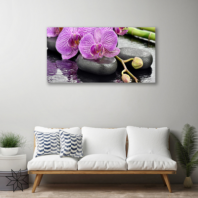 Quadro em tela Orquídea Zen Orquídea Spa