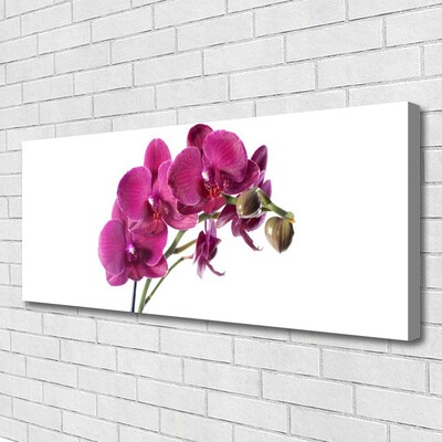 Quadro canvas Flores de orquídeas Natureza