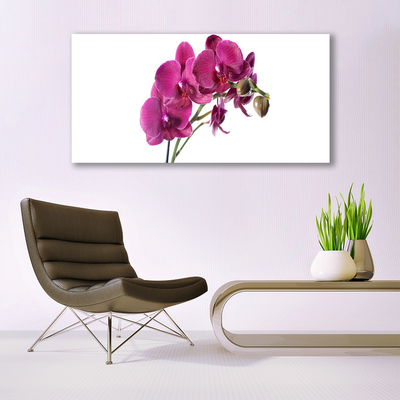 Quadro canvas Flores de orquídeas Natureza