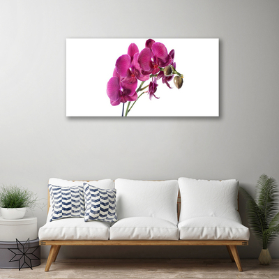 Quadro canvas Flores de orquídeas Natureza