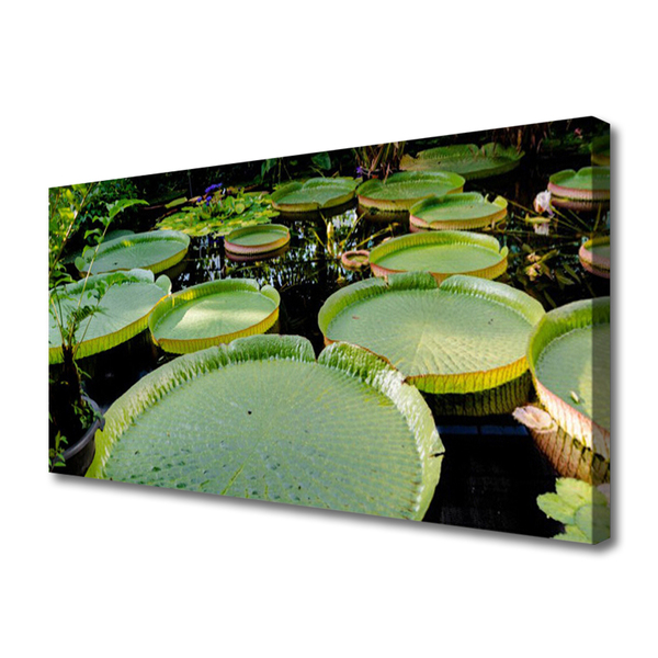 Quadro canvas Folhas Lago Natureza