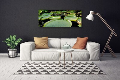 Quadro canvas Folhas Lago Natureza
