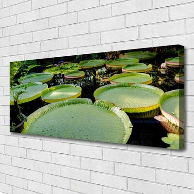 Quadro canvas Folhas Lago Natureza