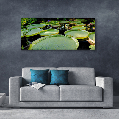 Quadro canvas Folhas Lago Natureza