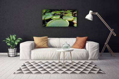 Quadro canvas Folhas Lago Natureza
