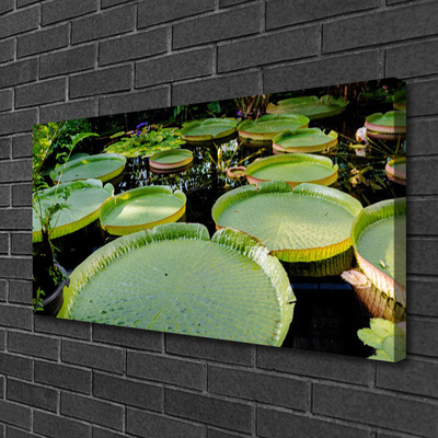 Quadro canvas Folhas Lago Natureza