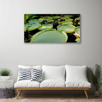 Quadro canvas Folhas Lago Natureza