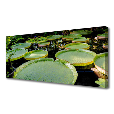 Quadro canvas Folhas Lago Natureza