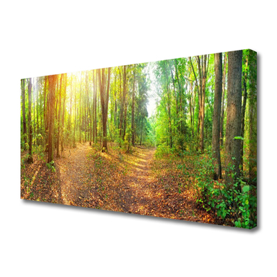 Quadro canvas Caminho da Floresta da Natureza do Sol