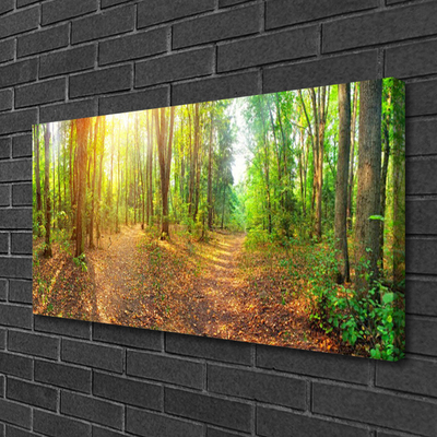 Quadro canvas Caminho da Floresta da Natureza do Sol