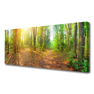 Quadro canvas Caminho da Floresta da Natureza do Sol