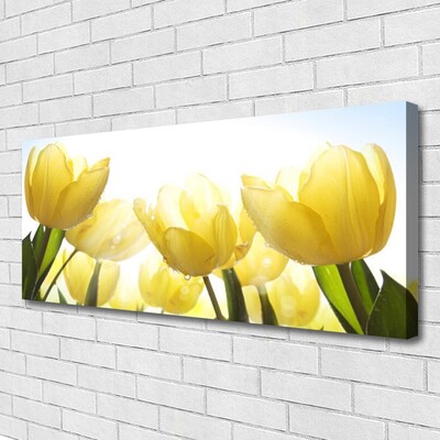 Quadro em tela Tulipas Flores Raios