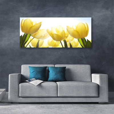 Quadro em tela Tulipas Flores Raios