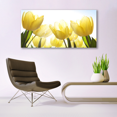 Quadro em tela Tulipas Flores Raios