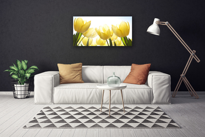 Quadro em tela Tulipas Flores Raios