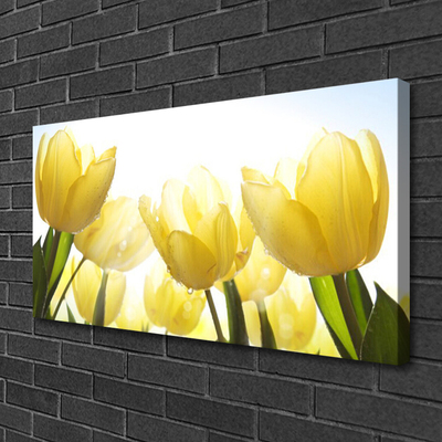 Quadro em tela Tulipas Flores Raios