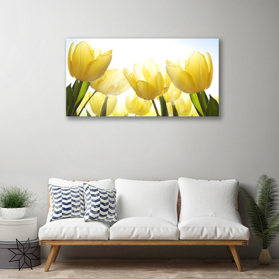 Quadro em tela Tulipas Flores Raios